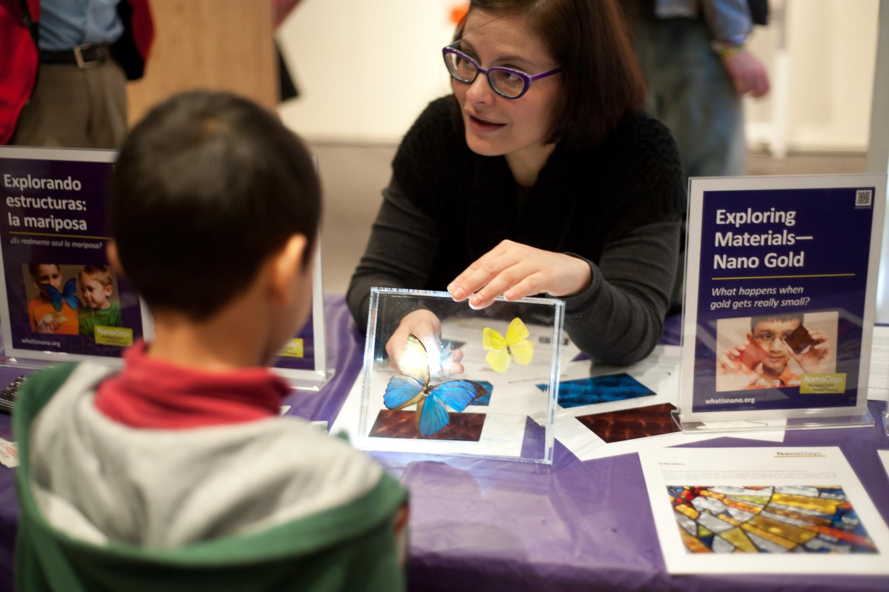 A facilitator shines a light behind the wings of a preserved blue butterfly