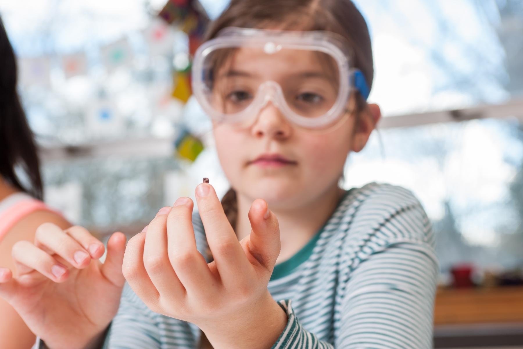 Young learner holds and examines a dead cochineal bug before making dye powder