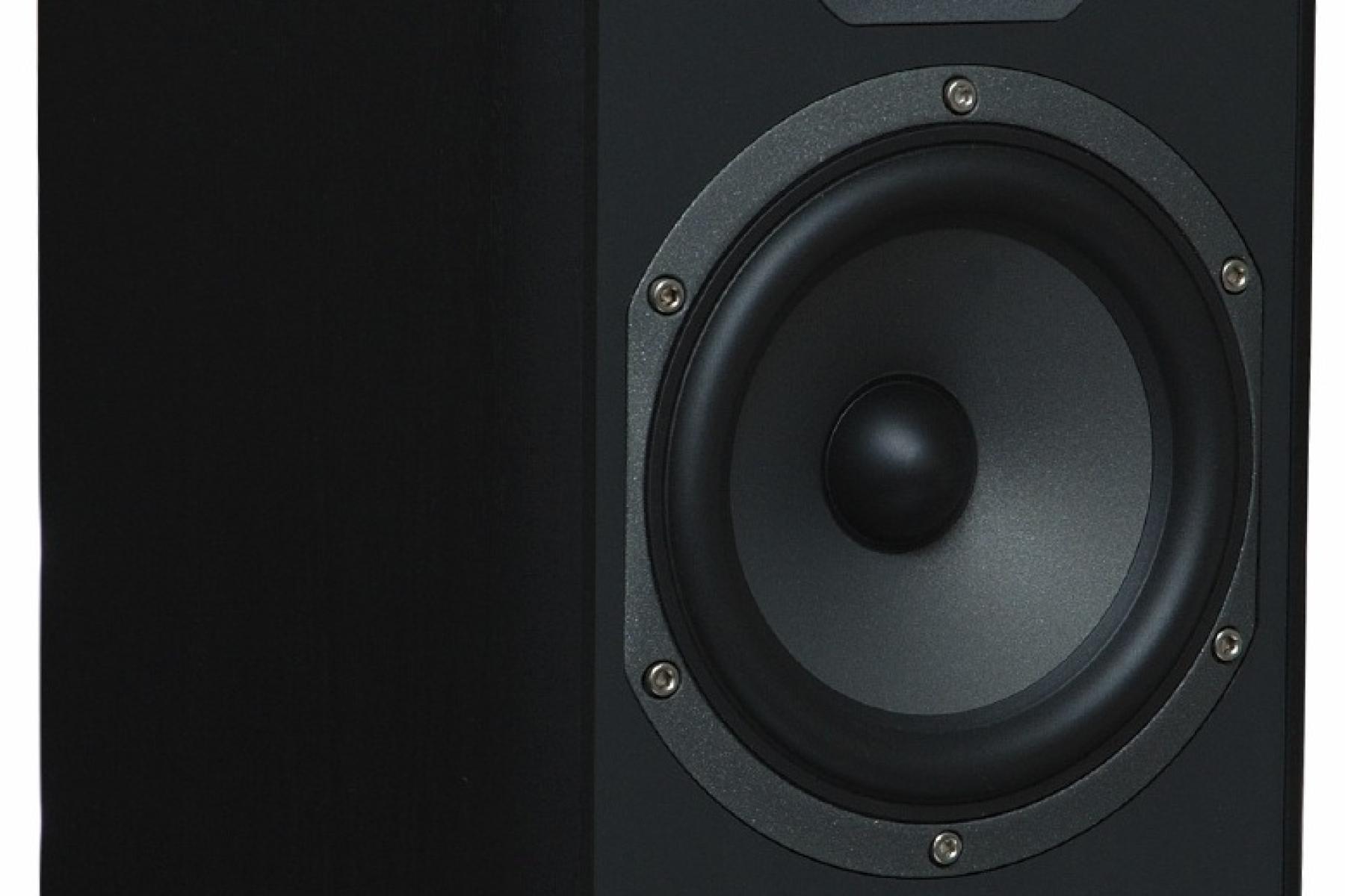 A black bookshelf stereo speaker.