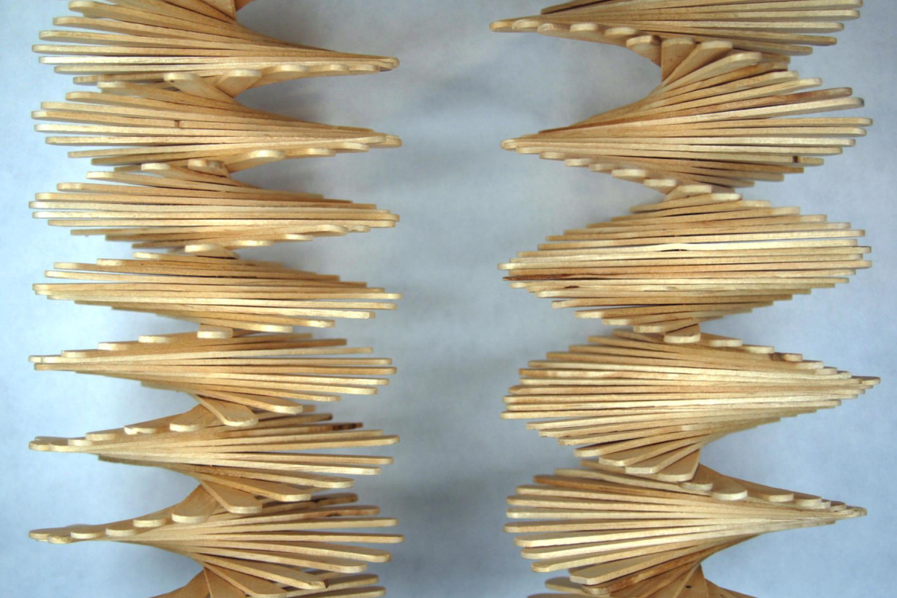 a liquid crystal model made with straight woodsticks but stacked so they're curved.