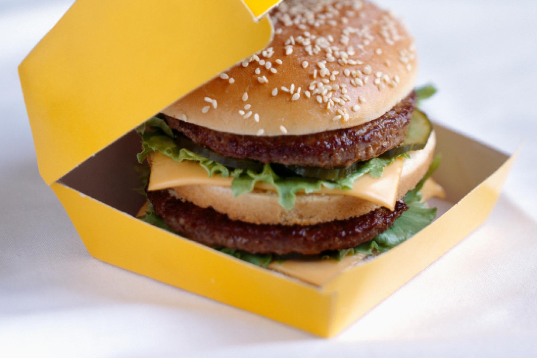 A double cheese burger image for the Exploring Properties - Surface Area activity 