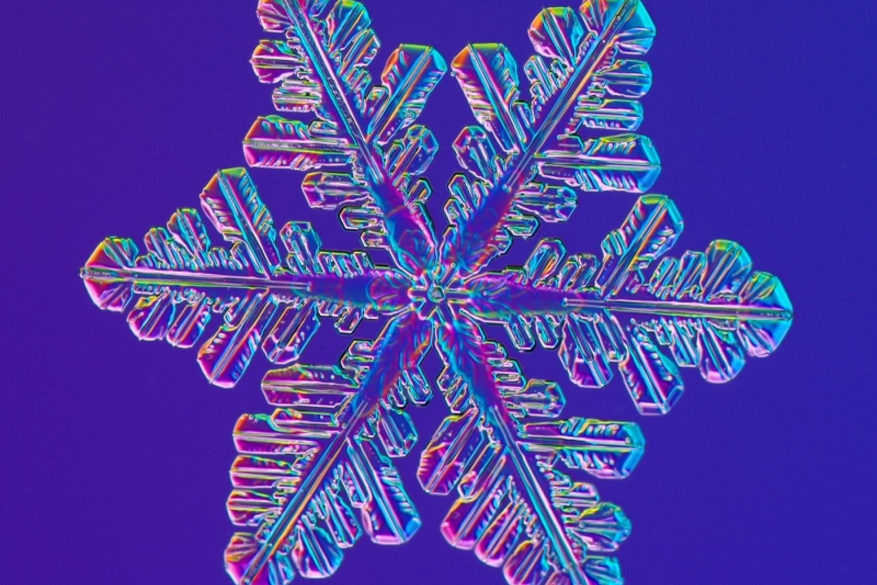 A magnified image of a snowflake