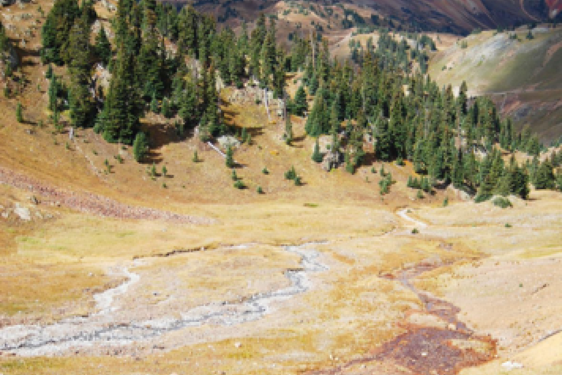 Scenic image of a mountain landscape with trees and golden hills 