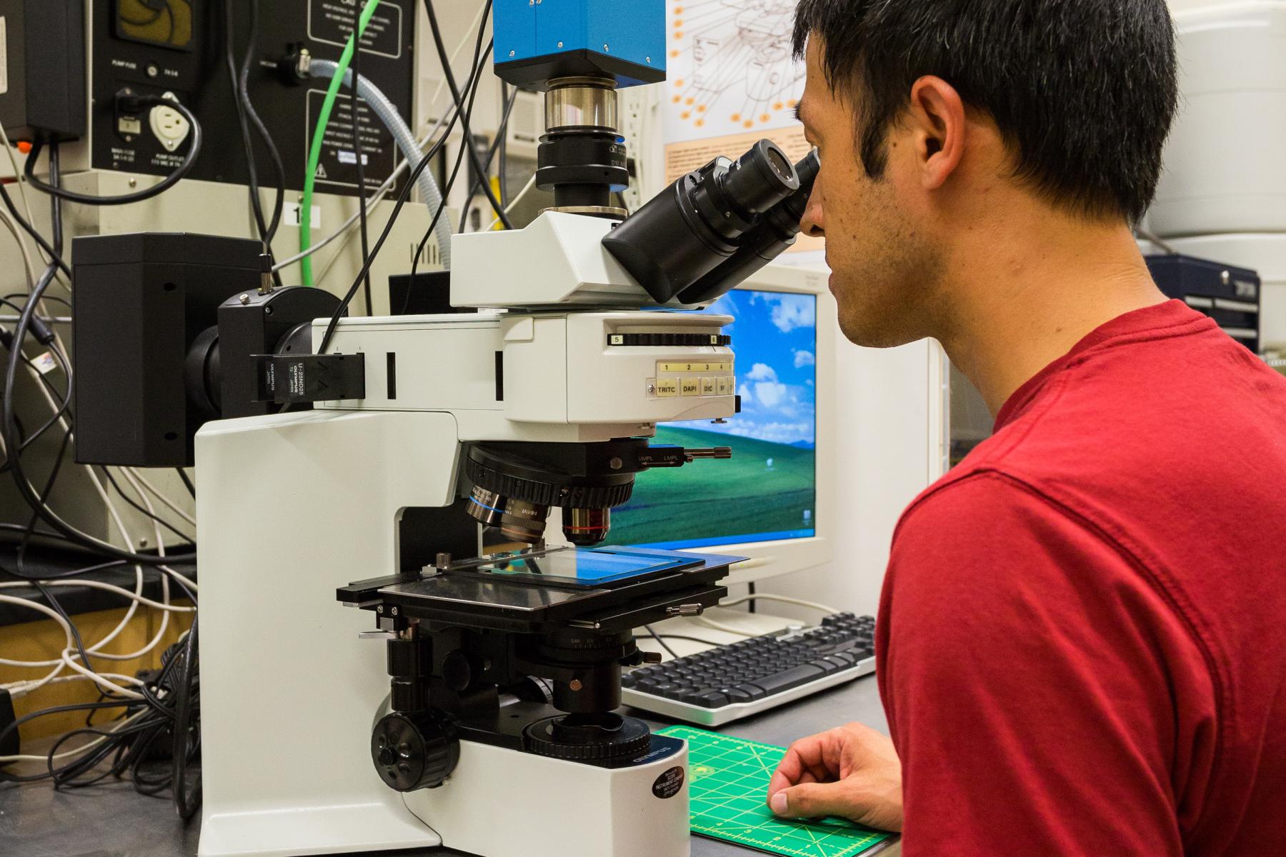 Scientist using a Light Microscope