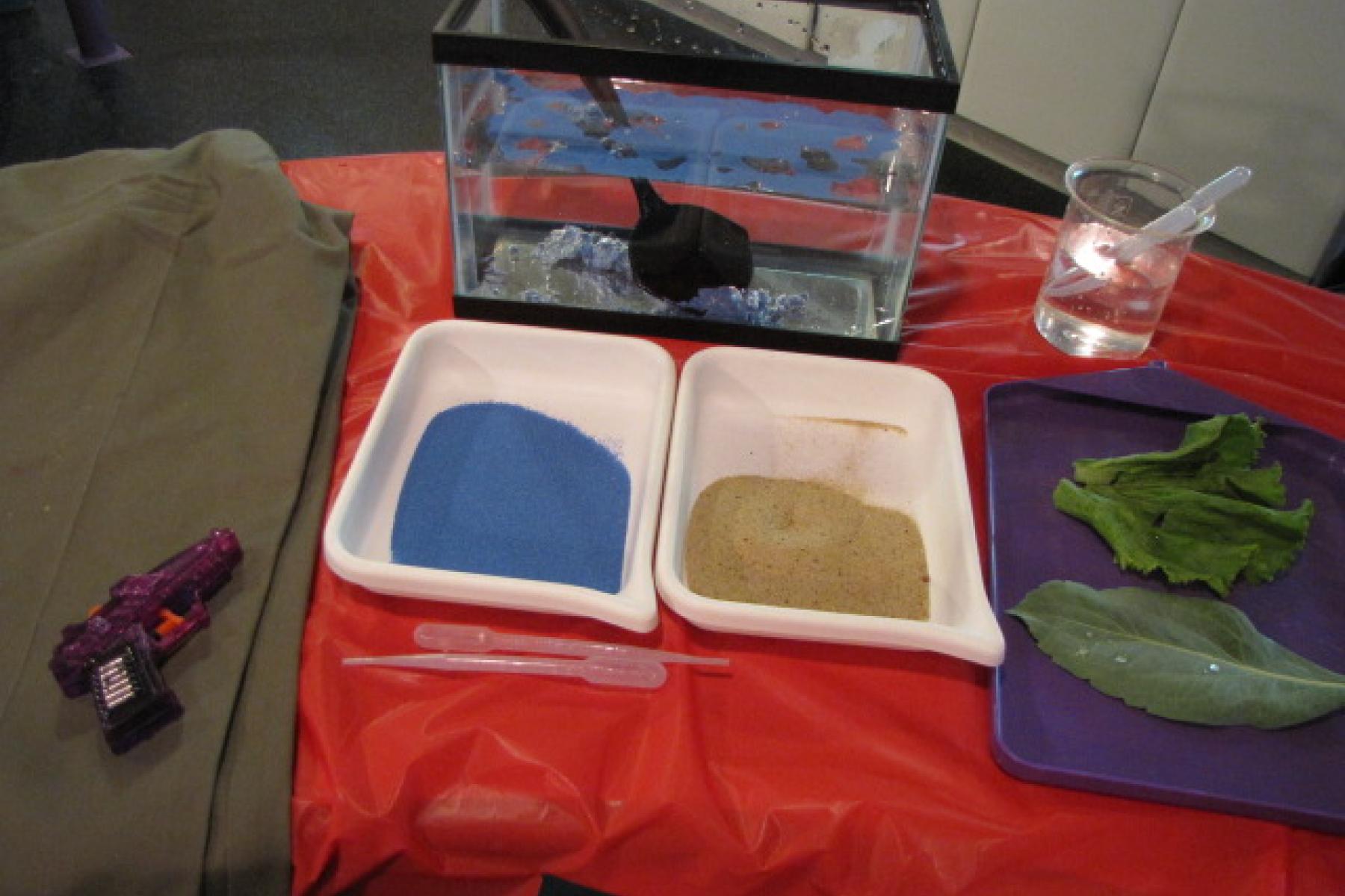 Sand, Plants, and pants  activity components including water tank, sand, pants, and plants.
