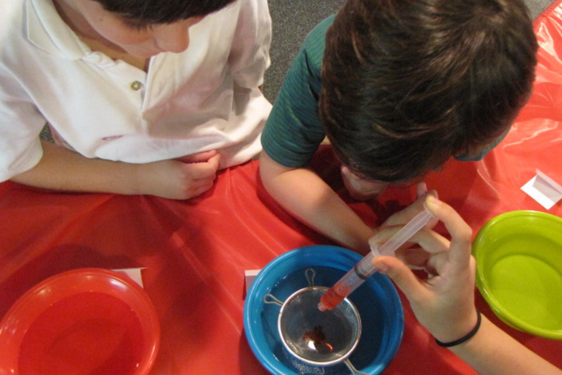 A couple kids making self-assembling spheres