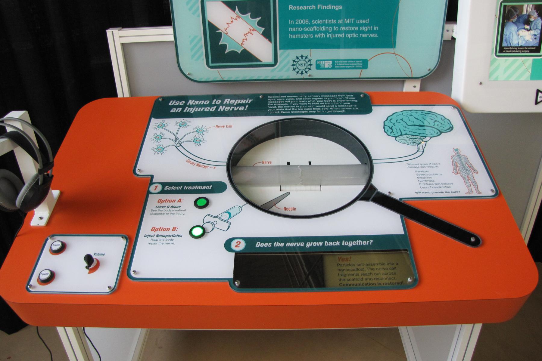 Viewing the Regenerating Tissue exhibit from close up and at its center is a large prop magnifying glass