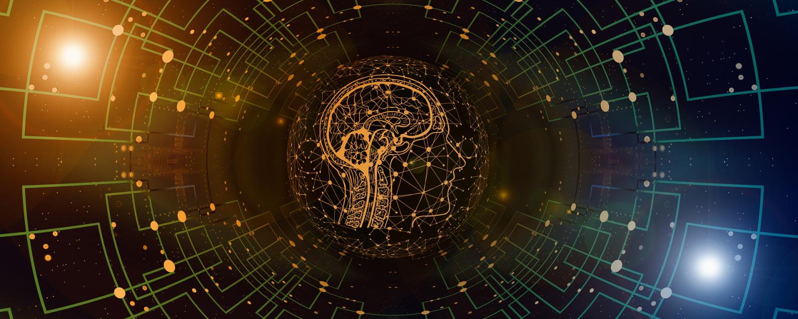 stylized brain and network image
