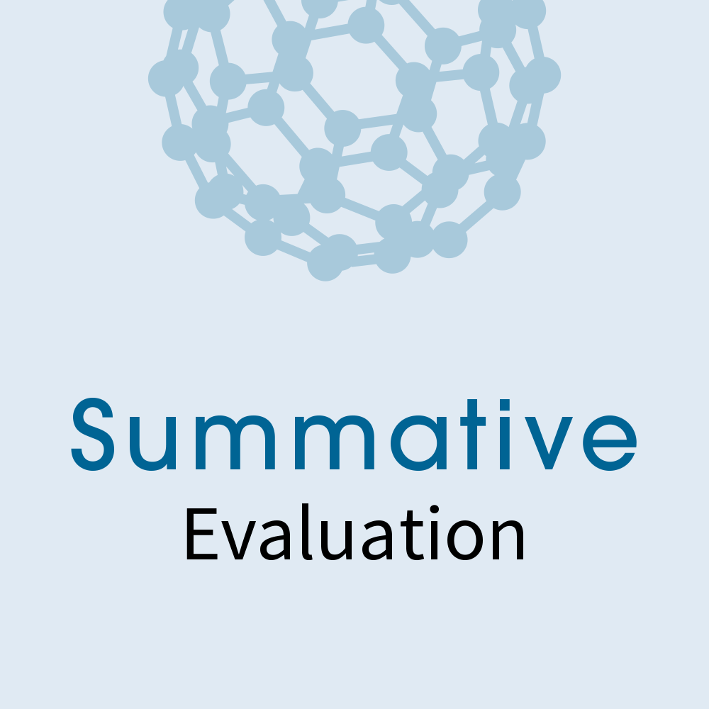Summative Evaluation icon
