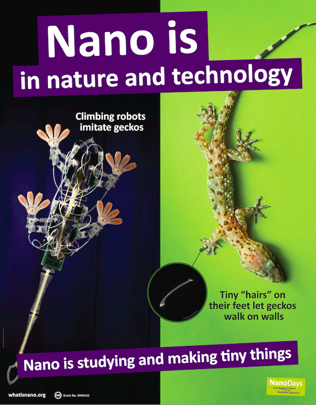 Key Concepts Poster - gecko